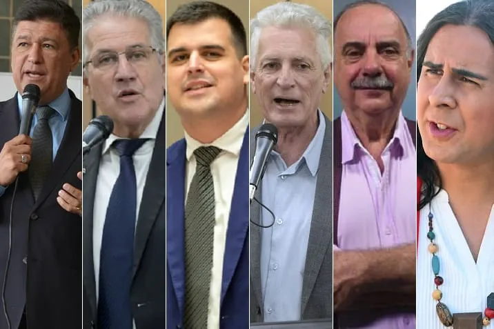 Carlos Viana, João Leite, Bruno Engler, Rogério Correia, Fuad Noman e Duda Salabert são os seis primeiros colocados na pesquisa estimulada — Foto: Clarissa Barçante/ALMG, Sarah Torres/ALMG, Daniel Protzner/ALMG, Daniel de Cerqueira/O Tempo, Luiz Santana/ALMG