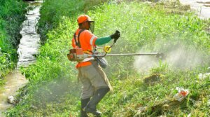 Limpeza de ruas: chuva e mato desafiam prefeituras brasileiras soaquinoticias