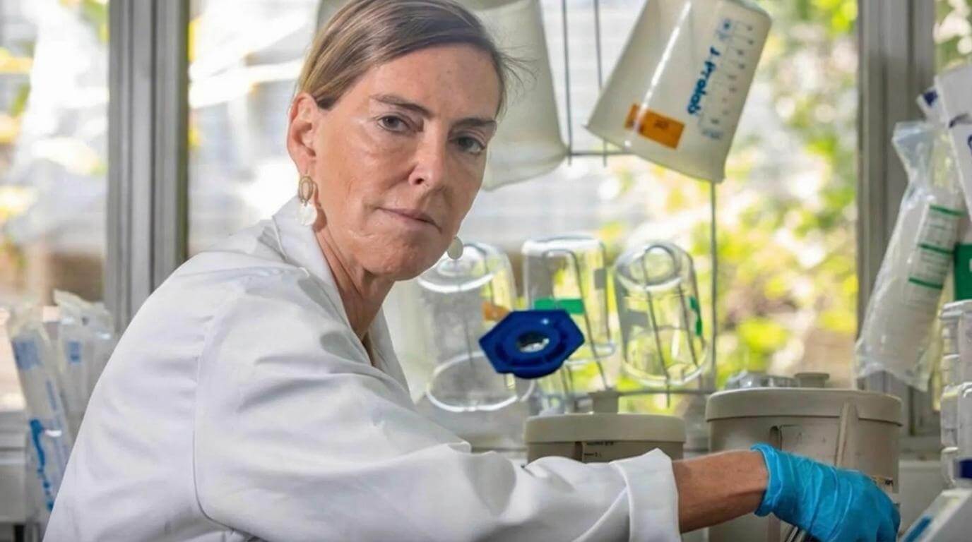 Brasil: Polilaminina da UFRJ faz tetraplégicos voltarem a andar soaquinoticias