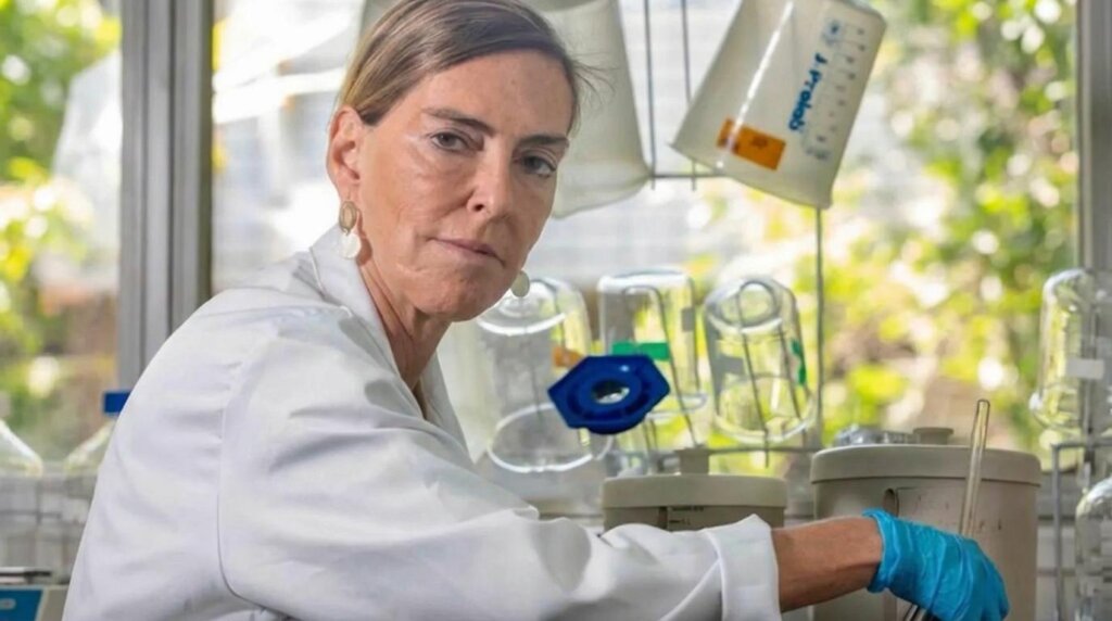 Pesquisadora da UFRJ faz tetraplégicos voltarem a andar com polilaminina. soaquinoticias