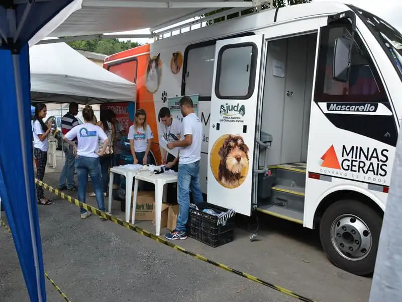 Castramóvel realiza 340 castrações gratuitas de animais em Timóteo soaquinoticias