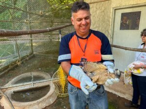 Nova 381 capacita colaboradores para resgate de animais silvestres na rodovia soaquinoticias
