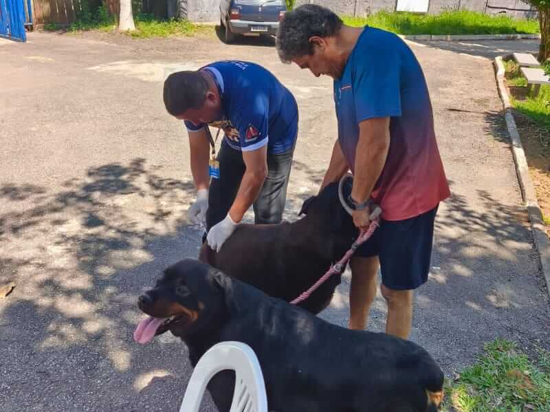 Timoteo realiza segundo Dia D de vacinação antirrábica para cães e gatos neste sábado soaquinoticias