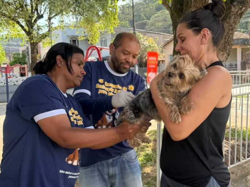 Prefeitura de Timoteo prorroga vacinacao antirrabica para pets ate outubro soaquinoticias